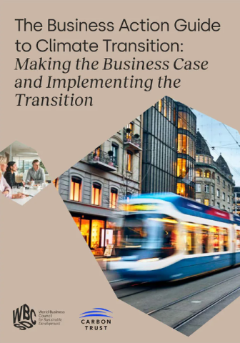 The Business Action Guide to Climate Transition