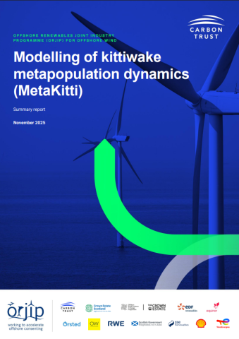 Modelling of kittiwake metapopulation dynamics (Metakitti)
