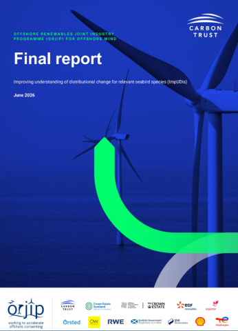 Final report
