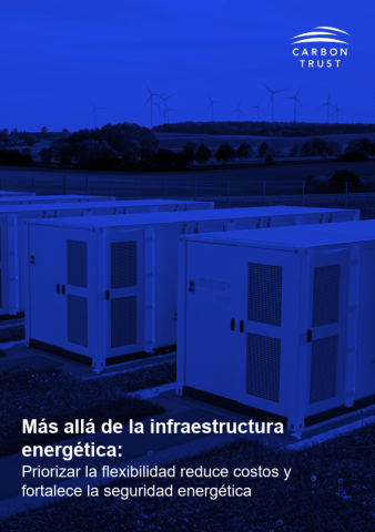 Mas alla de la infraestructura energetica