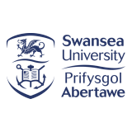Swansea University